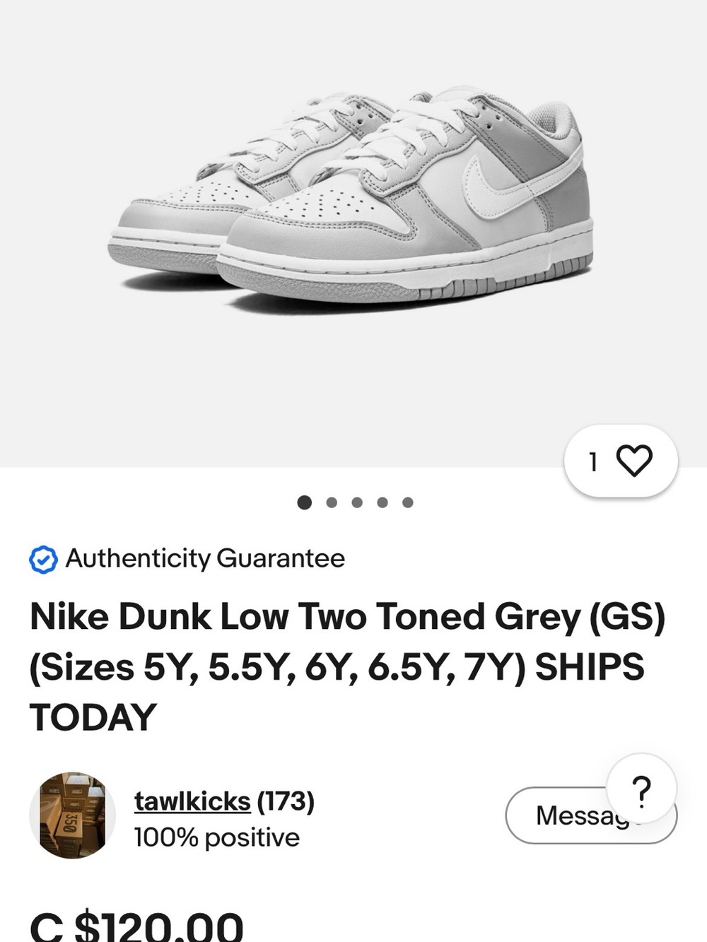 Nike Dunk Low GS Two-Toned Grey White